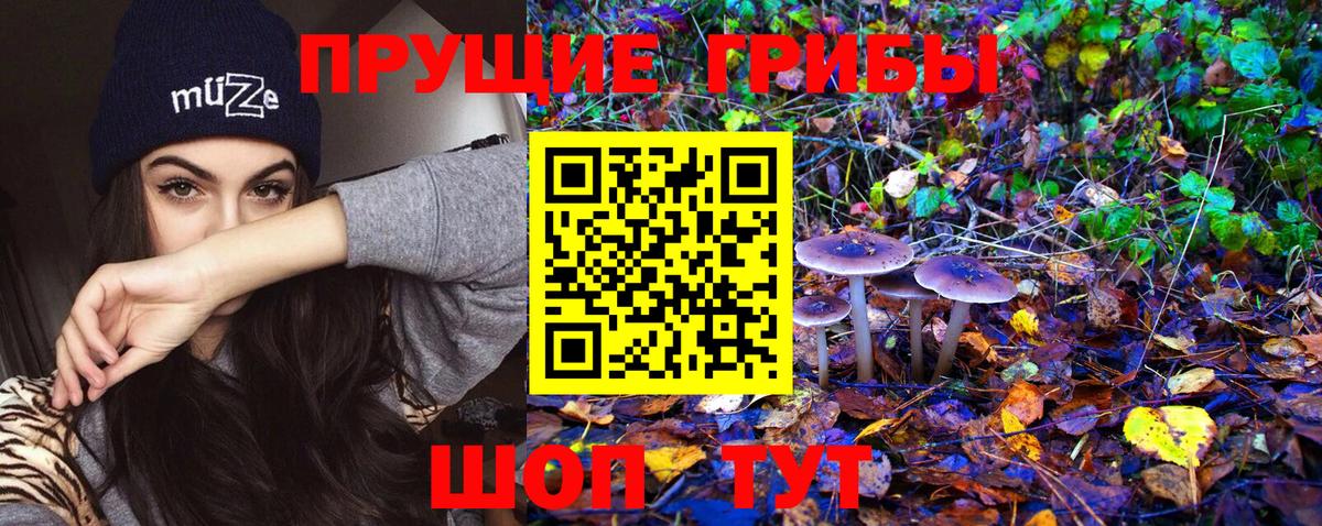 Галлюциногенные грибы MAGIC MUSHROOMS  Вход с VPN  Мценск 