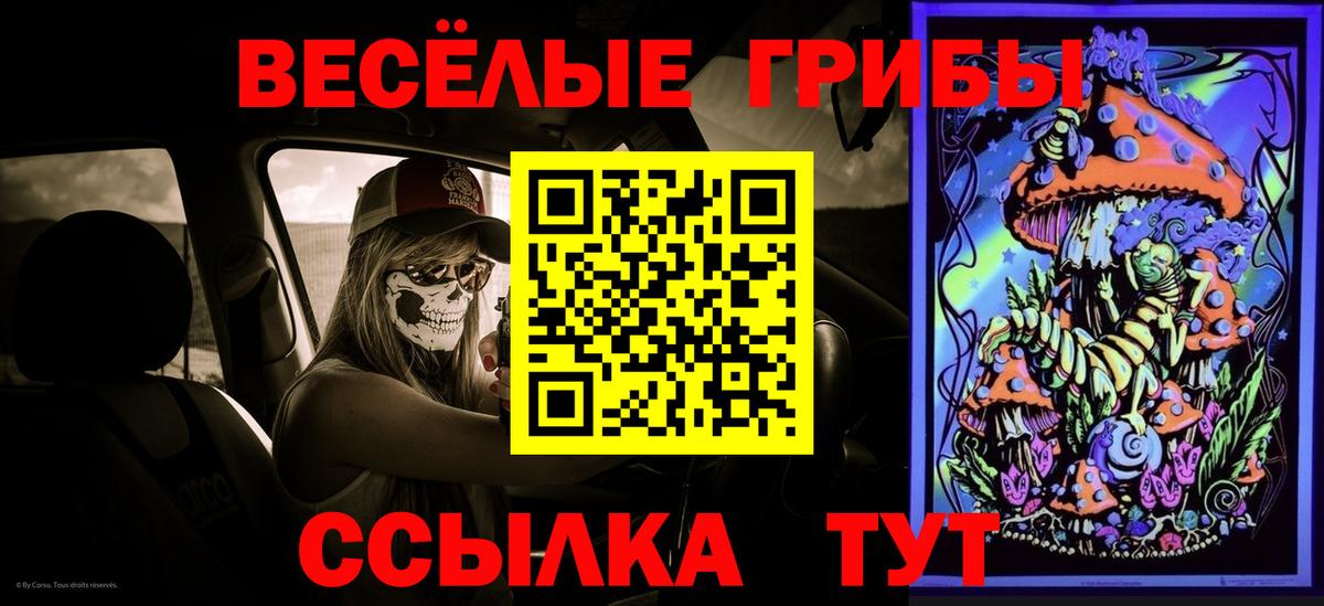 Галлюциногенные грибы Magic Shrooms Мценск